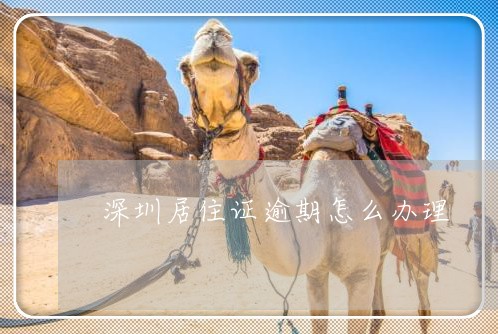 深圳居住证逾期怎么办理