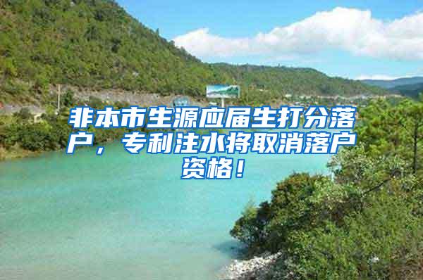 非本市生源应届生打分落户，专利注水将取消落户资格！