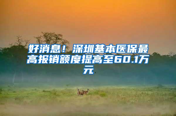 好消息！深圳基本医保最高报销额度提高至60.1万元