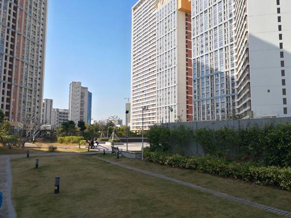 本科生入户深圳买房