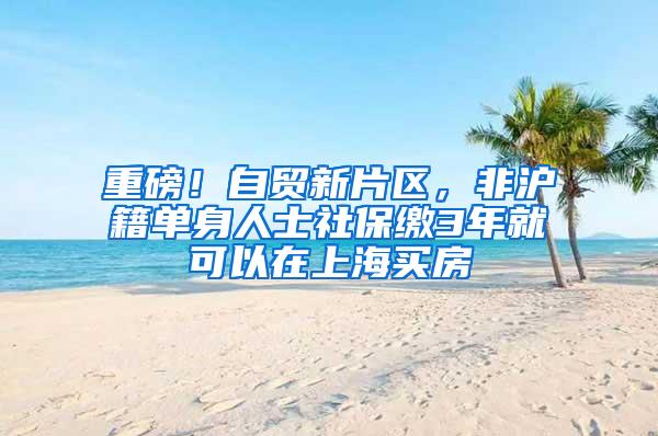 重磅！自贸新片区，非沪籍单身人士社保缴3年就可以在上海买房