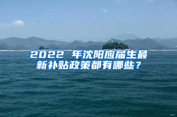 2022 年沈阳应届生最新补贴政策都有哪些？