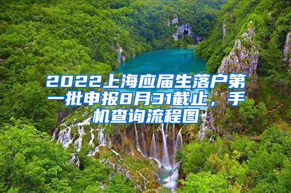2022上海应届生落户第一批申报8月31截止，手机查询流程图