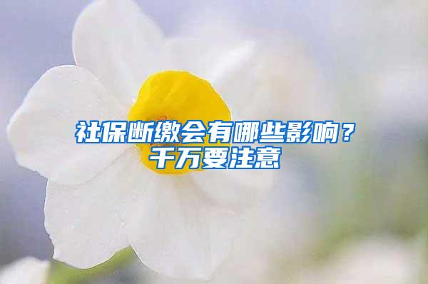 社保断缴会有哪些影响？千万要注意