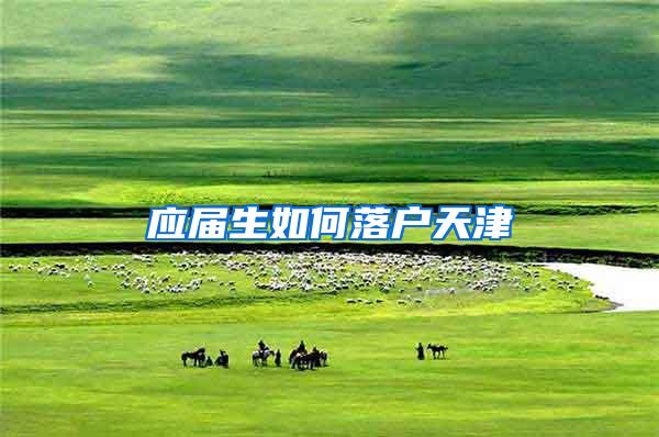 应届生如何落户天津