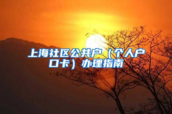 上海社区公共户（个人户口卡）办理指南