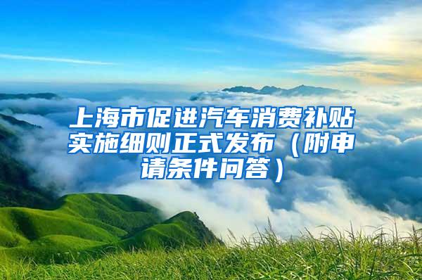 上海市促进汽车消费补贴实施细则正式发布（附申请条件问答）