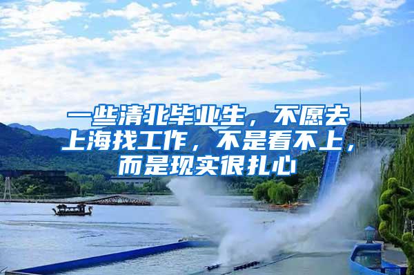 一些清北毕业生，不愿去上海找工作，不是看不上，而是现实很扎心