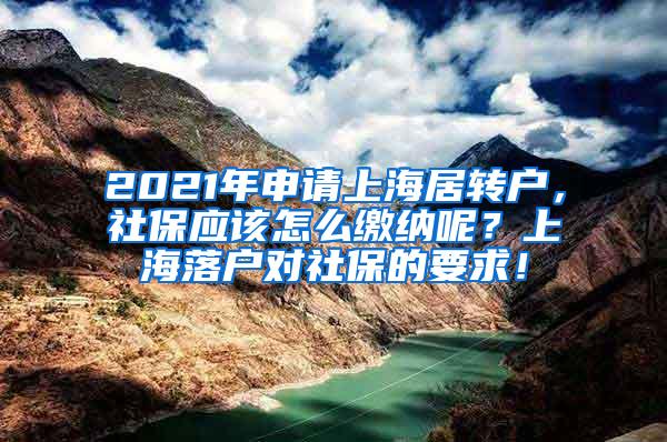2021年申请上海居转户，社保应该怎么缴纳呢？上海落户对社保的要求！