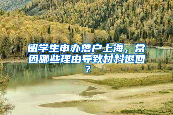 留学生申办落户上海，常因哪些理由导致材料退回？