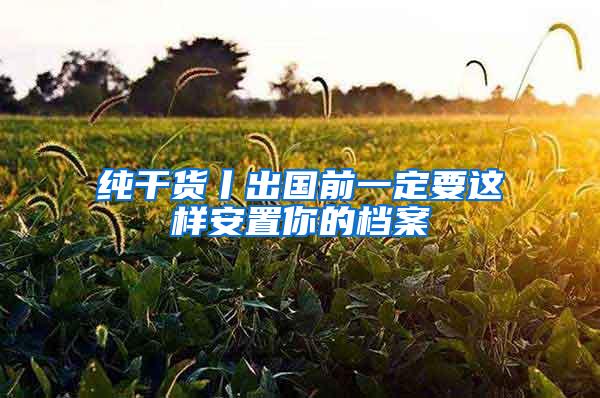纯干货丨出国前一定要这样安置你的档案