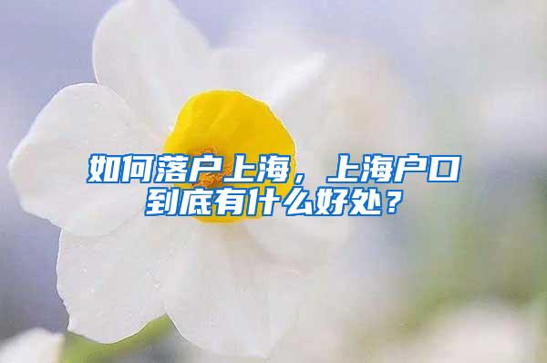 如何落户上海，上海户口到底有什么好处？