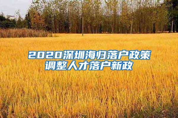 2020深圳海归落户政策调整人才落户新政