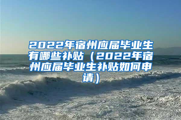 2022年宿州应届毕业生有哪些补贴（2022年宿州应届毕业生补贴如何申请）