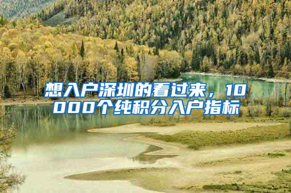 想入户深圳的看过来，10000个纯积分入户指标