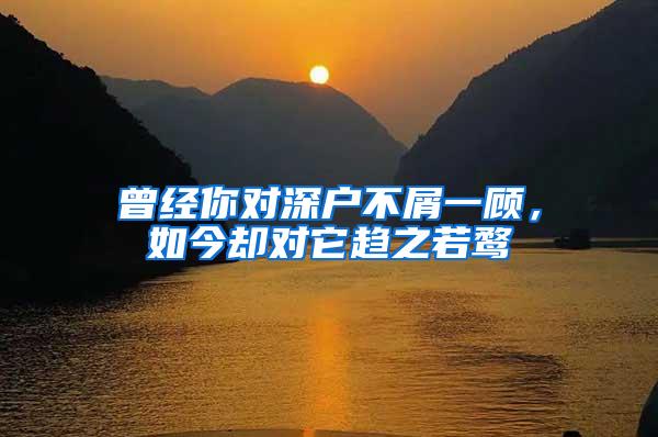 曾经你对深户不屑一顾，如今却对它趋之若鹜