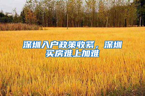 深圳入户政策收紧，深圳买房难上加难