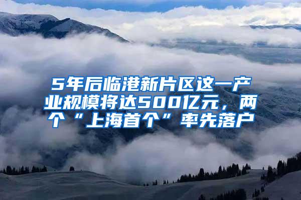 5年后临港新片区这一产业规模将达500亿元，两个“上海首个”率先落户