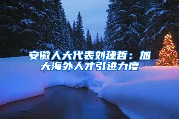 安徽人大代表刘建哲：加大海外人才引进力度