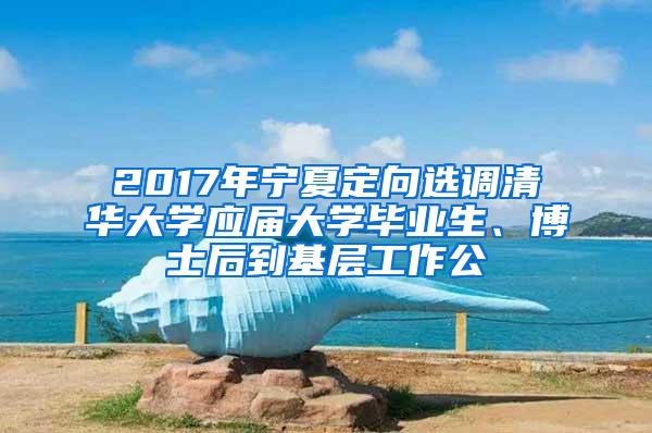 2017年宁夏定向选调清华大学应届大学毕业生、博士后到基层工作公