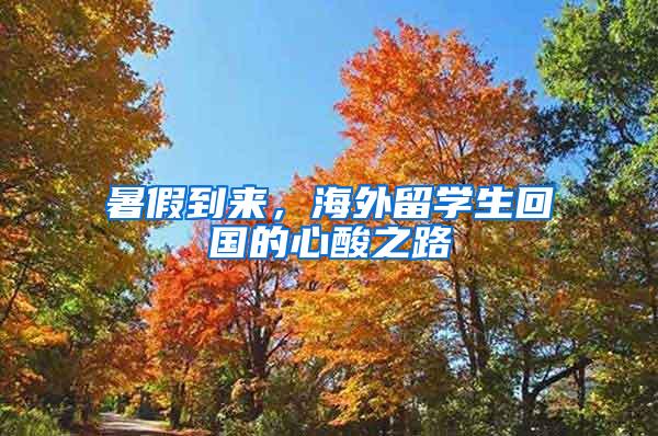 暑假到来，海外留学生回国的心酸之路