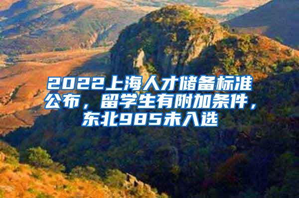 2022上海人才储备标准公布，留学生有附加条件，东北985未入选