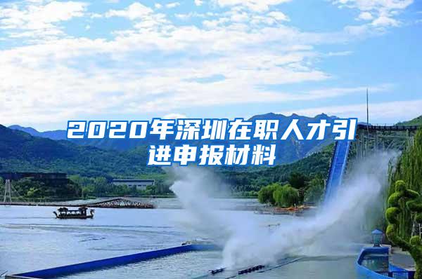2020年深圳在职人才引进申报材料