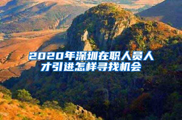 2020年深圳在职人员人才引进怎样寻找机会