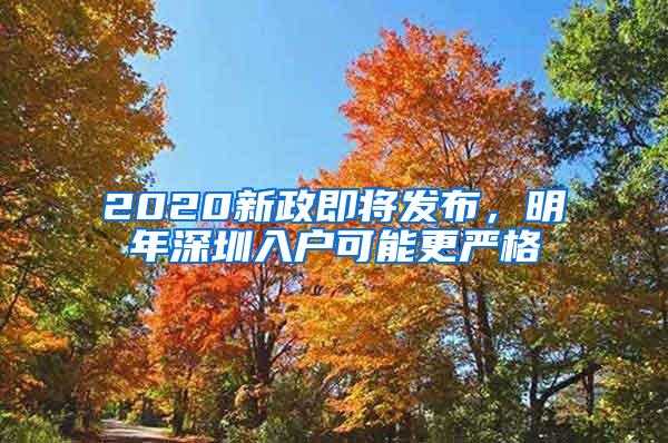 2020新政即将发布，明年深圳入户可能更严格