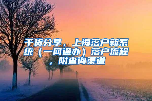 干货分享，上海落户新系统（一网通办）落户流程，附查询渠道