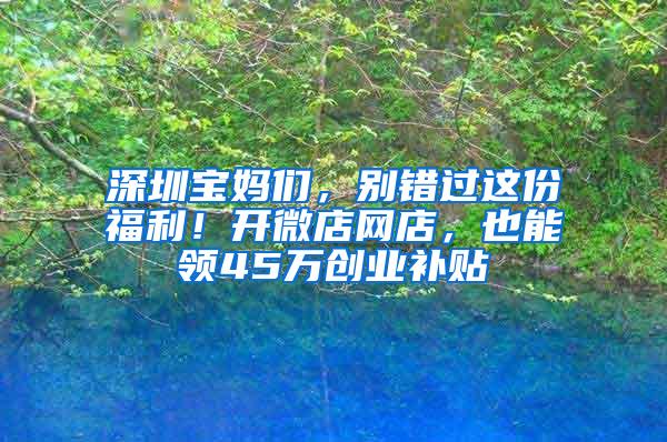 深圳宝妈们，别错过这份福利！开微店网店，也能领45万创业补贴