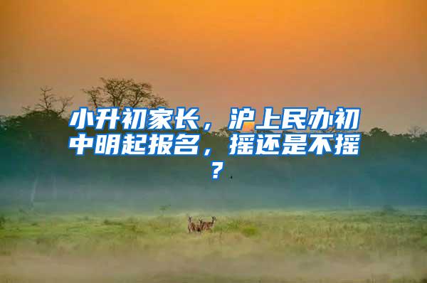 小升初家长，沪上民办初中明起报名，摇还是不摇？