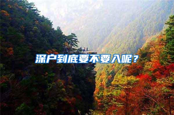 深户到底要不要入呢？