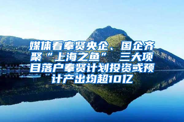 媒体看奉贤央企、国企齐聚“上海之鱼” 三大项目落户奉贤计划投资或预计产出均超10亿