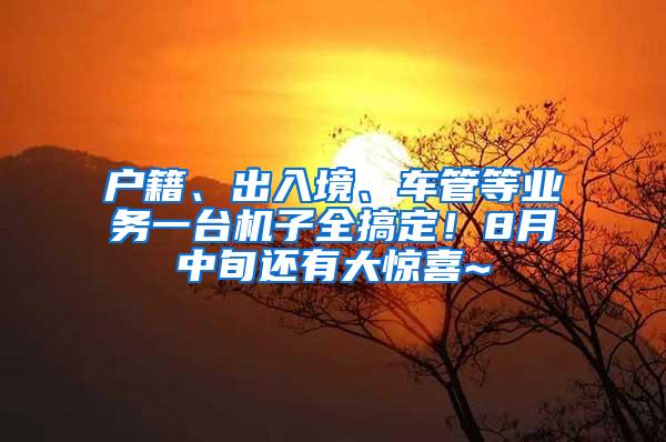 户籍、出入境、车管等业务一台机子全搞定！8月中旬还有大惊喜~