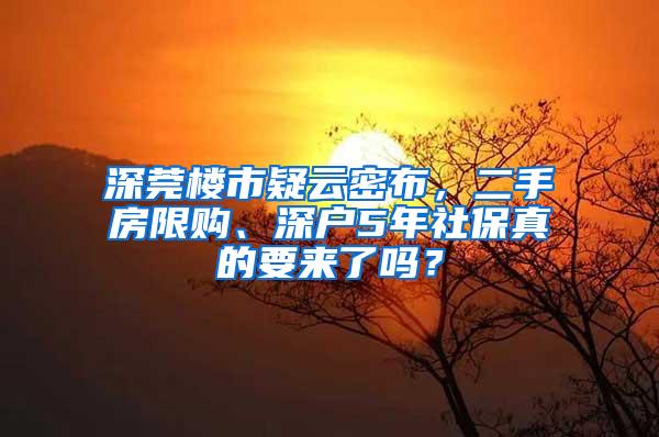 深莞楼市疑云密布，二手房限购、深户5年社保真的要来了吗？