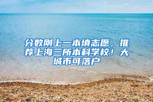 分数刚上一本填志愿，推荐上海三所本科学校！大城市可落户