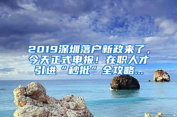 2019深圳落户新政来了，今天正式申报！在职人才引进“秒批”全攻略...
