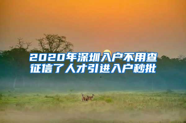 2020年深圳入户不用查征信了人才引进入户秒批