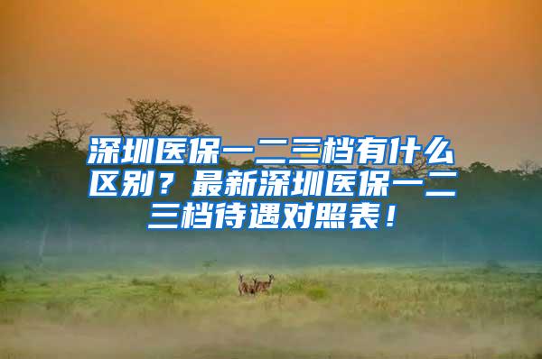 深圳医保一二三档有什么区别？最新深圳医保一二三档待遇对照表！