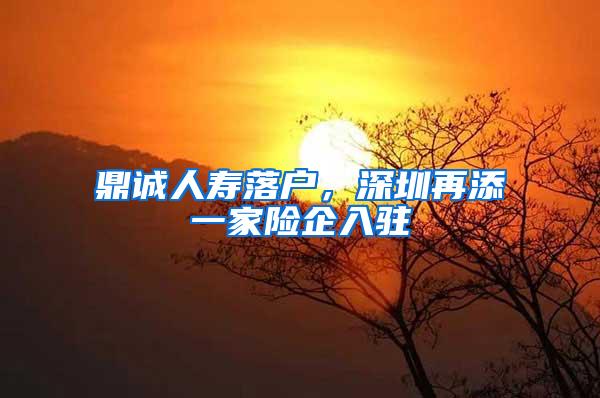 鼎诚人寿落户，深圳再添一家险企入驻