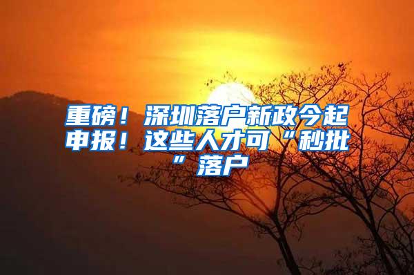 重磅！深圳落户新政今起申报！这些人才可“秒批”落户