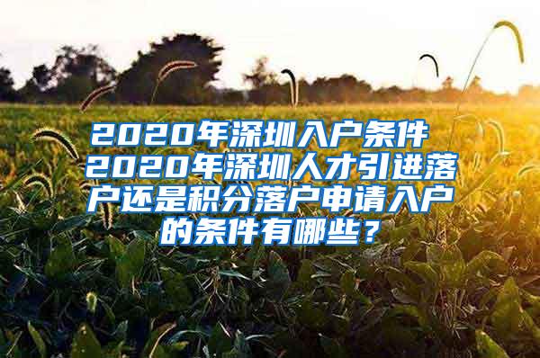 2020年深圳入户条件 2020年深圳人才引进落户还是积分落户申请入户的条件有哪些？