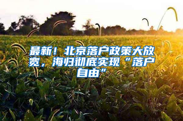 最新！北京落户政策大放宽，海归彻底实现“落户自由”