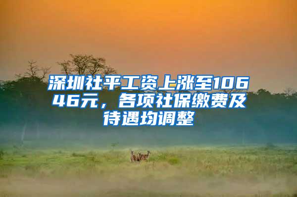 深圳社平工资上涨至10646元，各项社保缴费及待遇均调整