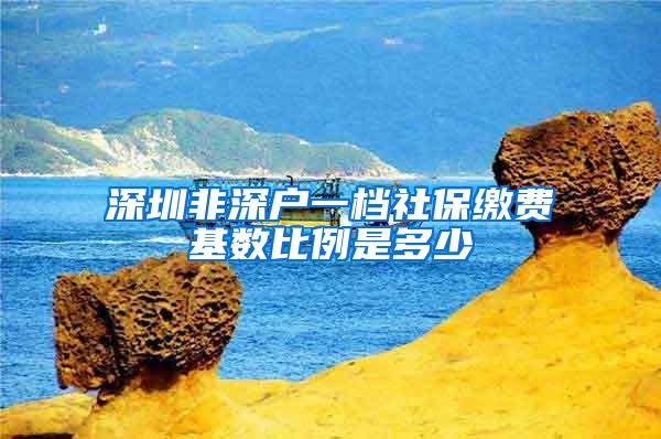 深圳非深户一档社保缴费基数比例是多少