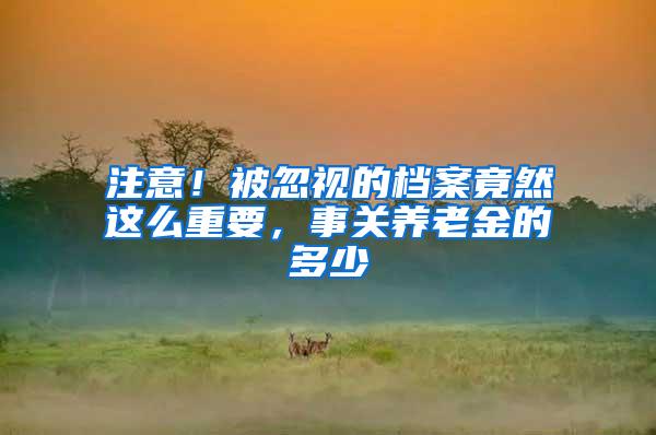 注意！被忽视的档案竟然这么重要，事关养老金的多少