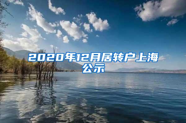 2020年12月居转户上海公示