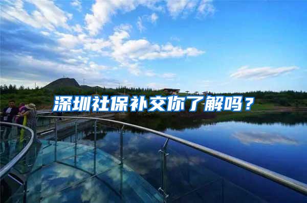 深圳社保补交你了解吗？