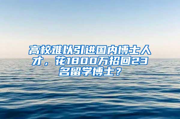高校难以引进国内博士人才，花1800万招回23名留学博士？